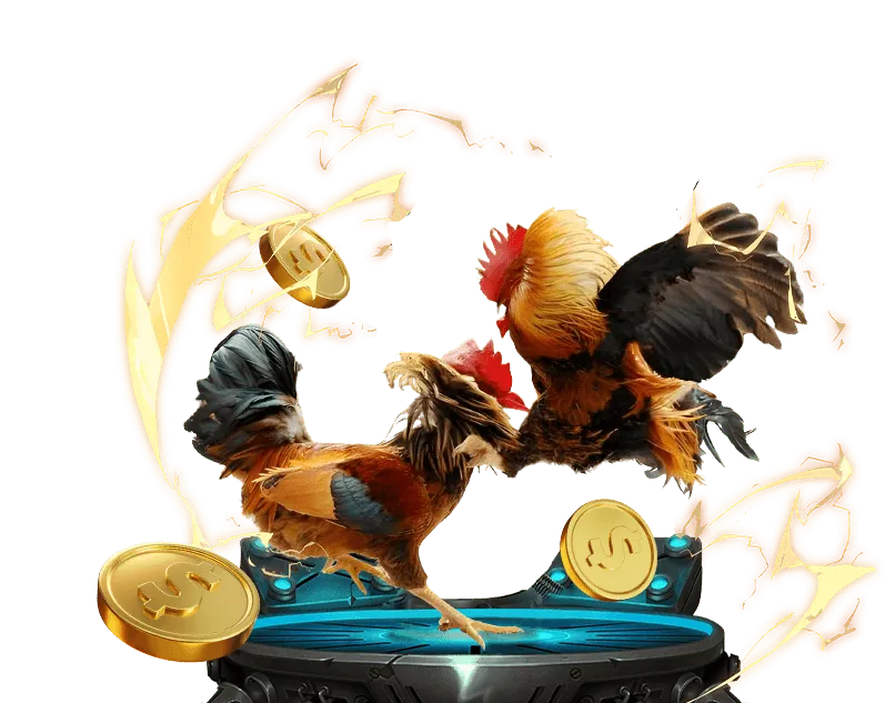 Tổng quan các cấp độ VIP tại zamo vn58vip